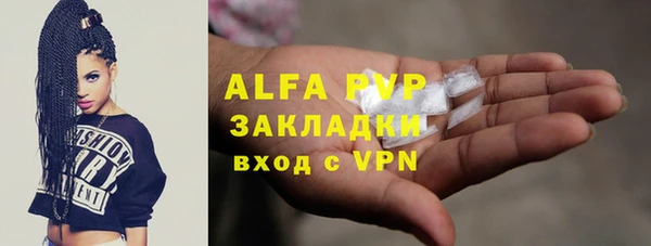 МДПВ Вяземский