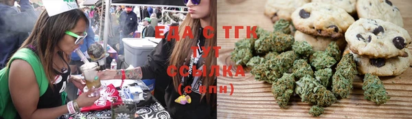 МДПВ Вяземский